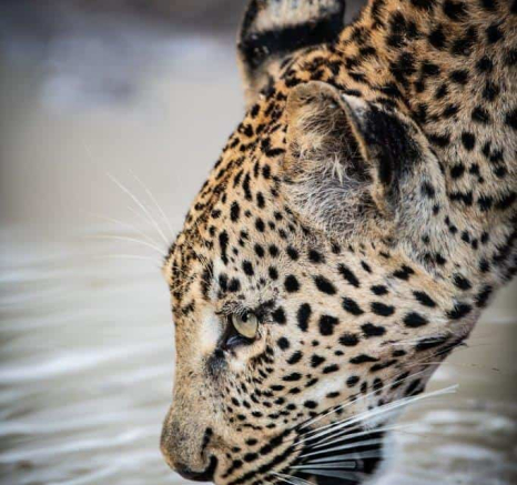 19Ntsumi Shaun Jenkinson 06 03 2020 2 Final