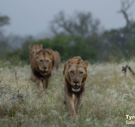 04Tyron Van Der Walt NWashishaka Males 160420 1 Final