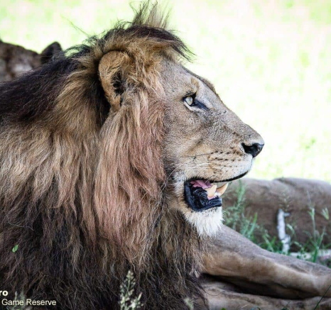 24ronald Mutero Mhangeni 04012020 5 Final