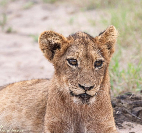 A08ronald Mutero Nwash Nd Stix 24012022 4 Final