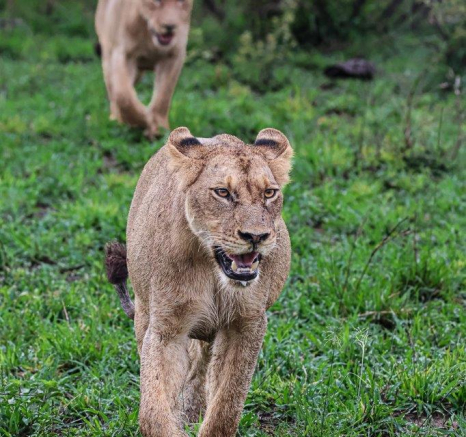 A23Coenraad Stapelberg Styx 201222 1 Final