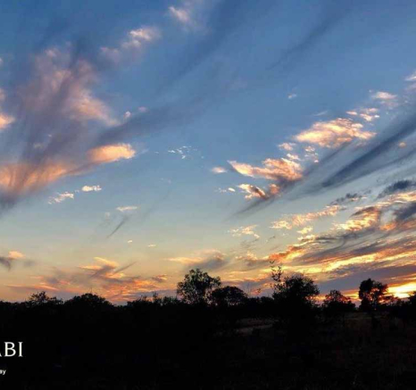 09Louise Murray Sunrise 12052018 Final 09Louise Murray Sunrise 12052018 Final