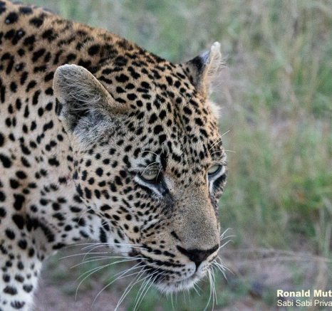 A14ronald Mutero Mweti2 14042022  Final