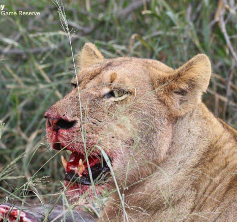 43Louise Murray Sp 25032020 1 Final 43Louise Murray Sp 25032020 1 Final