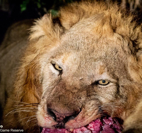 B27ronald Mutero Nwash 01082021 4 Final