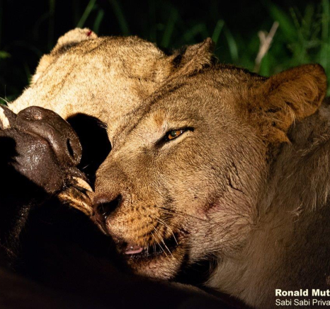 05ronald Mutero Styx 02012023  3 Final