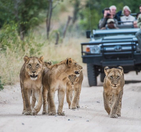 08Terry Ennever Sparta 9417 Final 08Terry Ennever Sparta 9417 Final