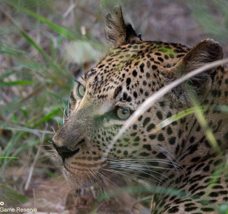 A10ronald Mutero Nstumi 21032022 2 Final