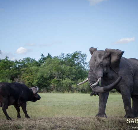 10872843 813433755370944 2086718686093833571 O