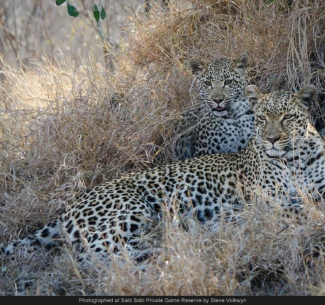 1501116 740831845964469 4474989510941325724 O