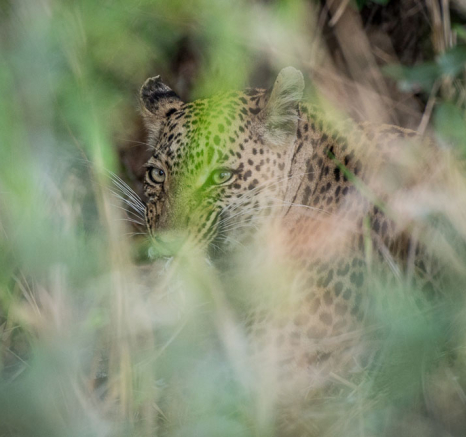 Mike Palmer LBC Maxabeni 3