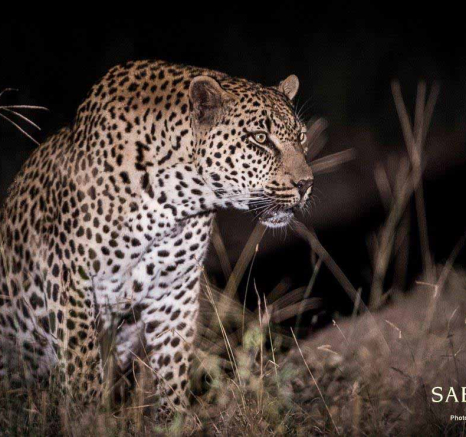 17Terry Ennever WDMSMB 2018510 1 Final 17Terry Ennever WDMSMB 2018510 1 Final