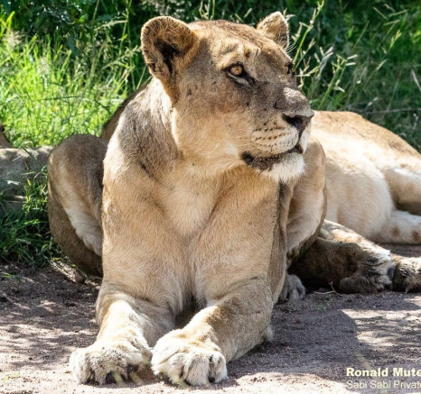 19ronald Mutero Kambula 02032021 5 Final