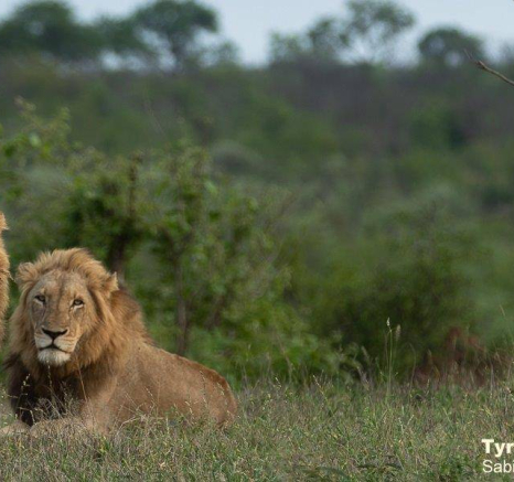 35Tyron Van Der Walt NWashishaka Males 301020 2 Final