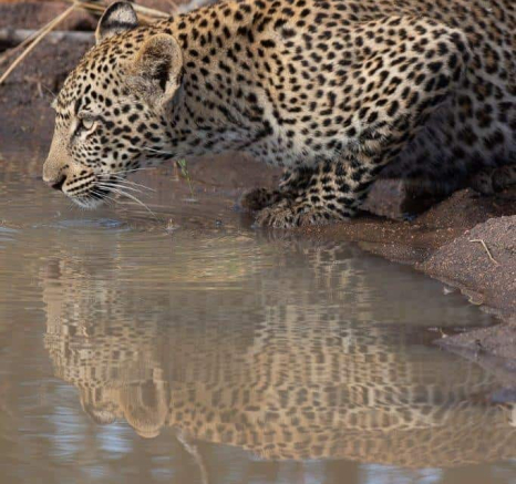 10Brett Heasman Scotia 28032020 6 Final 10Brett Heasman Scotia 28032020 6 Final