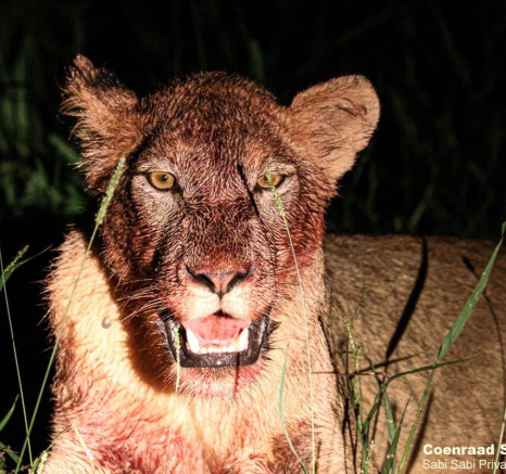 B07Coenraad Stapelberg Styx 130123 5 Final