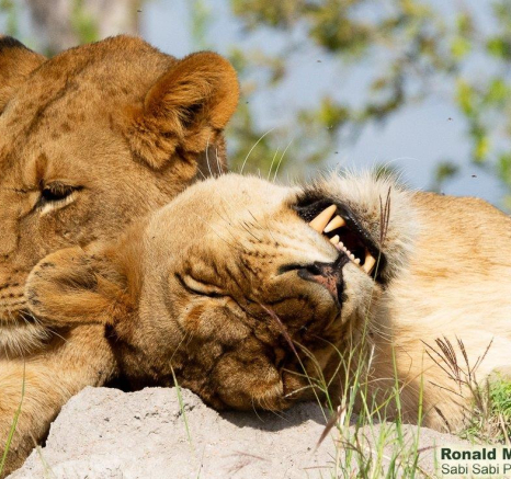 A14ronald Mutero Sp 15062022 4 Final A14ronald Mutero Sp 15062022 4 Final