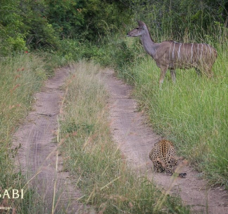 10984165 809665215747798 2346451270714091689 O