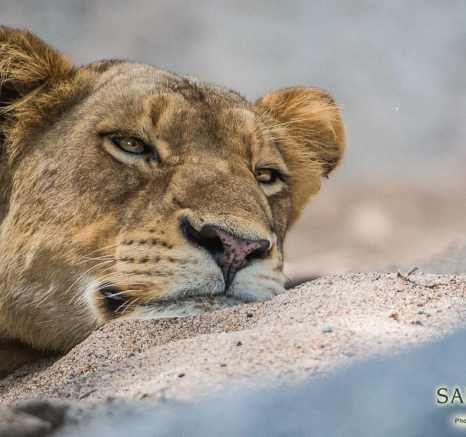 11Terry Ennever MBreakawaay 12417 1 Final 11Terry Ennever MBreakawaay 12417 1 Final