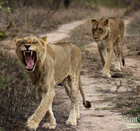 23Louise Murray SP 24112018 3 Final