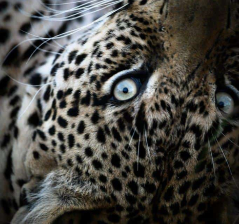 22Ally Ross 20200710 Nwet 01 Portrait Final