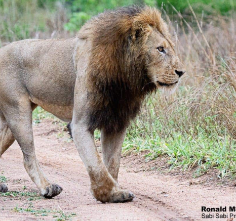 33ronaldmutero Nwash 20112020 5 Final 33ronaldmutero Nwash 20112020 5 Final