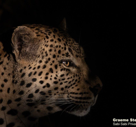 06Graeme Stewart White Dam 130521 2  Final