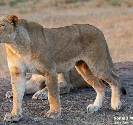 B22ronald Mutero Styx 29082021  5 Final B22ronald Mutero Styx 29082021  5 Final