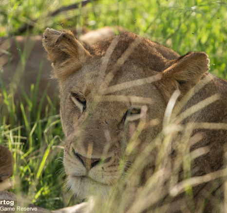 B05David Den Hartog Mhangeni Pride 15 01 2022 3 Final