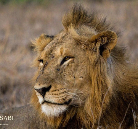 18Kevan Dobbie Tsalala Males 0608.4 Final 18Kevan Dobbie Tsalala Males 0608.4 Final