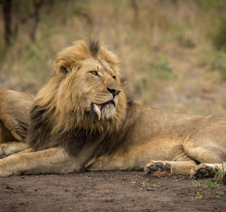 18Franscois Rosslee Cdrink2