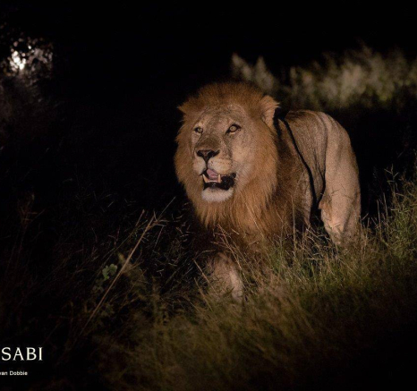 30Kevan Dobbie Avoca Males 110419 Final