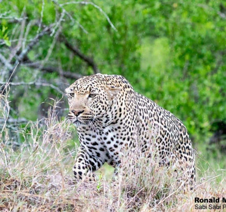 27ronaldmutero Nchila 22112020 Final 27ronaldmutero Nchila 22112020 Final