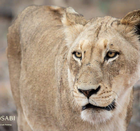 34Kerry Lee Roberg SP311018.3 Final 34Kerry Lee Roberg SP311018.3 Final