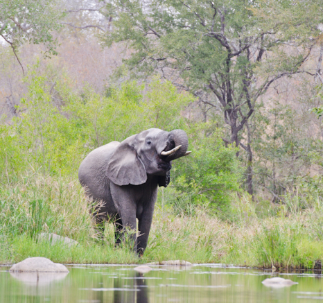 Week In Pictures 13 Week In Pictures 13