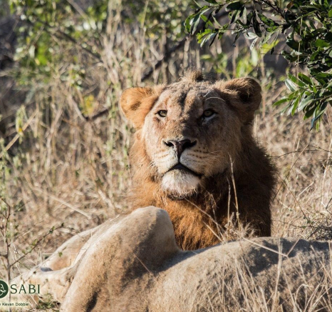 15Kevan Dobbie Unknown Males  2 Final