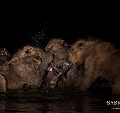 36Terry Ennever Mhangeni 21318 7 Final