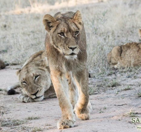 06Kevan Dobbie SP 02.06.1 4 Final