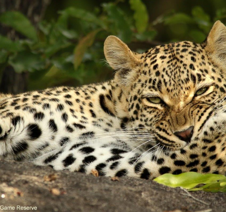 07Ally Ross 20221116 Goyloni Blog 03 Final