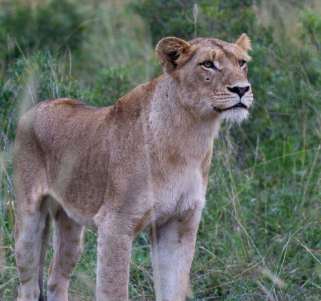 25Louise Murray SP 10042019 3 Final