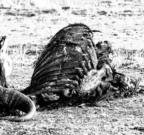 04Sheldon Hooper Bones Final