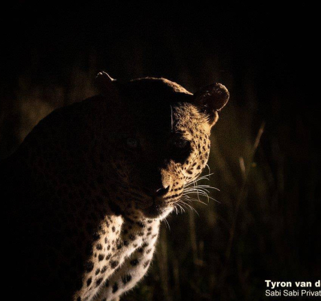 03Tyron Van Der Walt White Dam 210420 3 Final