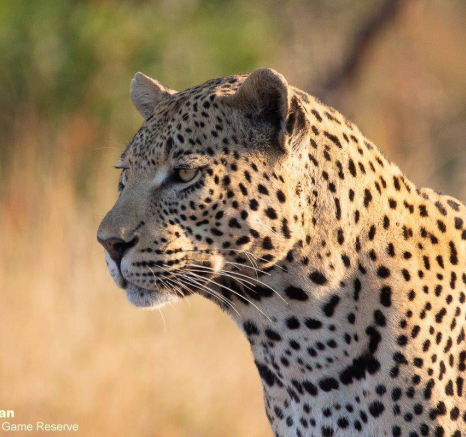 03Brett Heasman WD 02062020 1 Final