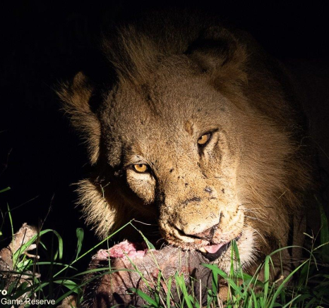 13ronald Mutero Talamati Female 02012023  3 Final