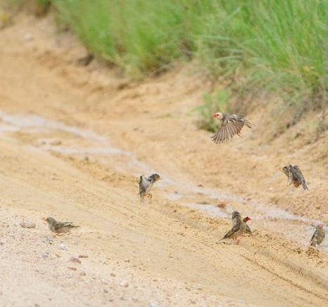 10373829 807401562640830 8126950118083318725 N