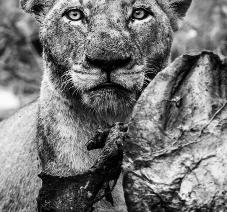 11Terry Ennever Mandleve 22 2 16 11Terry Ennever Mandleve 22 2 16