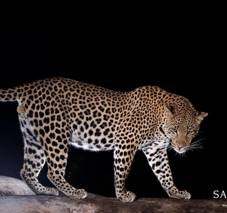 32Terry Ennever Max WD 15417 3 Final 32Terry Ennever Max WD 15417 3 Final