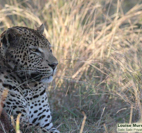 04Louise Murray Wd 27052020 4 Final