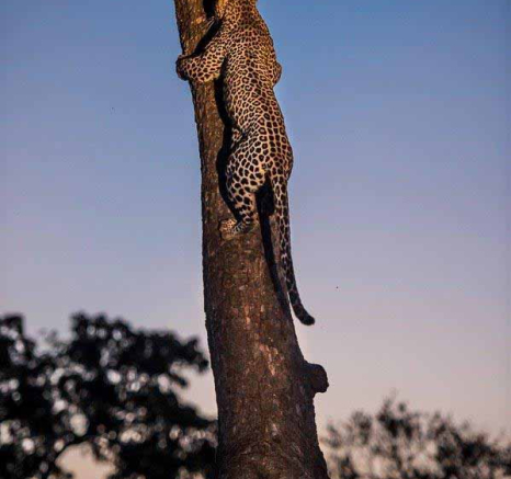 30Terry Ennever Ntsumi 21118 3 Final