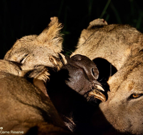 06ronald Mutero Styx 02012023  4 Final